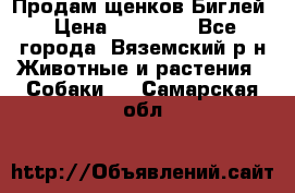 Продам щенков Биглей › Цена ­ 15 000 - Все города, Вяземский р-н Животные и растения » Собаки   . Самарская обл.